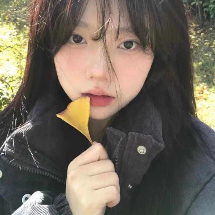 杨光的夏天